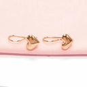 Rose Gold Glow Heart Earrings for Women