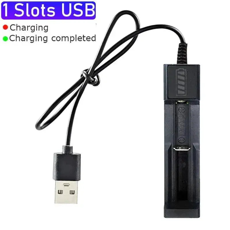 Dual Slot 18650 Lithium Battery Charger USB Fast Charging