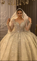 Red Carpet Ready Ball Gown for Brides