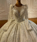 Red Carpet Ready Ball Gown for Brides