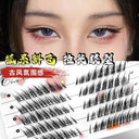 3D Fluffy Mink Fox Eye Lash Extensions Natural Elegance