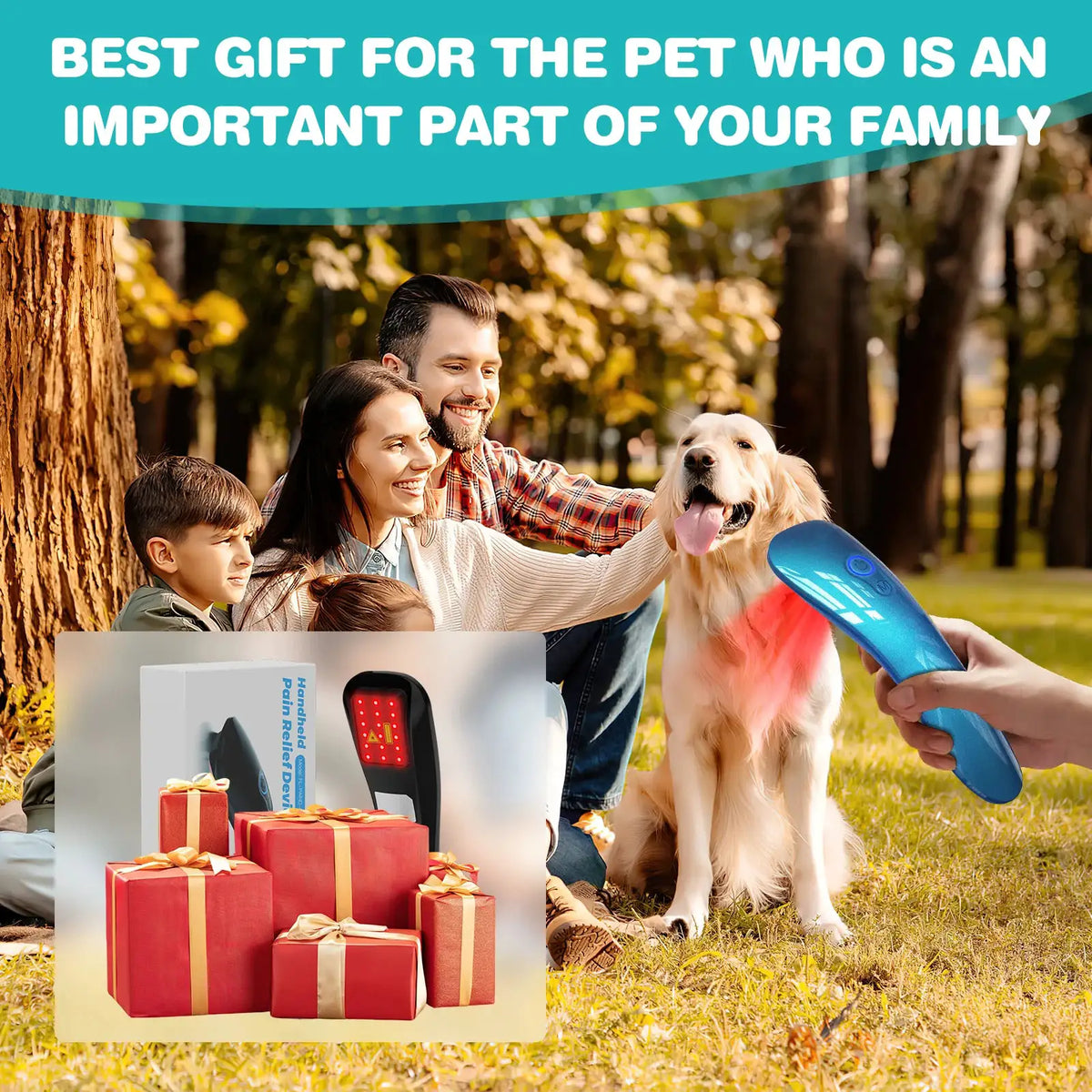 Pet Red Light Therapy Device for Dogs Cats Cold Laser — product view 7