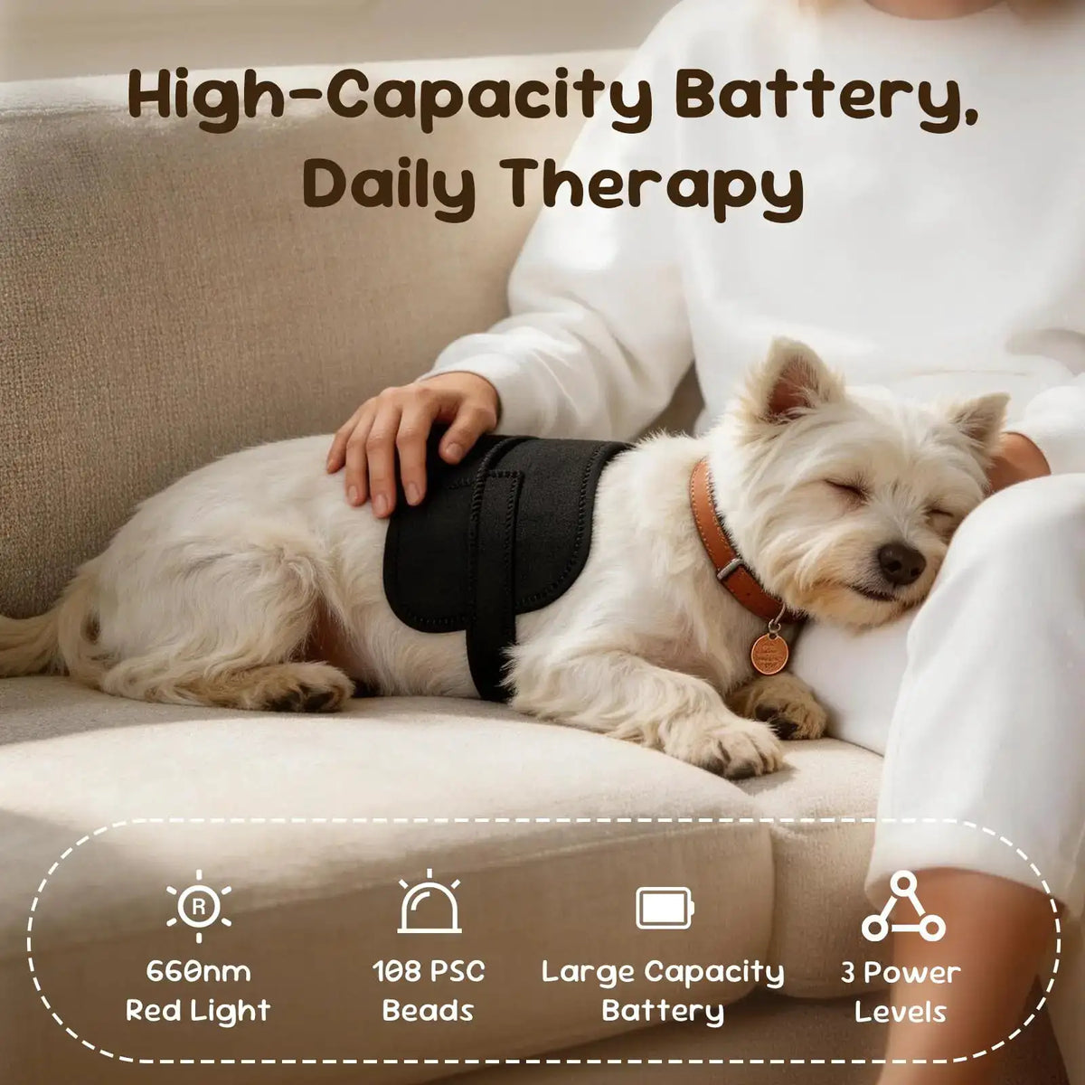Pet Red Light Therapy Belt Cold Laser Therapy Device Dog — product view 3