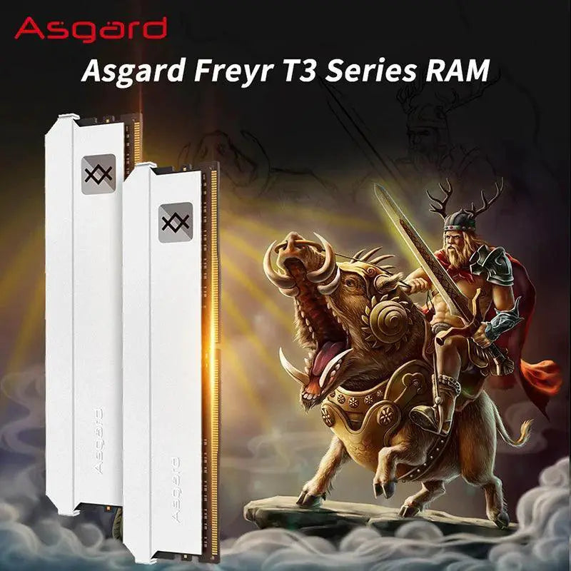 Asgard Freyr T3 DDR4 RAM Module Enhanced Performance