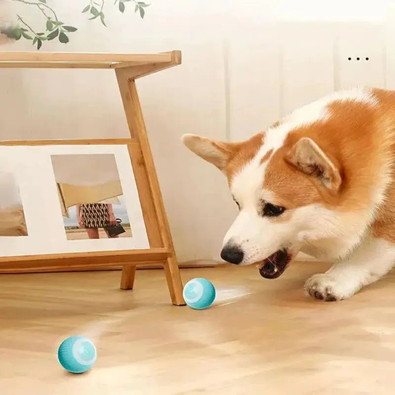 Electric Smart Cat Ball Toy For Interactive Kitten Fun