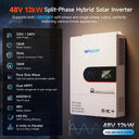 MFUZOP 48V Pure Sine Wave Inverter