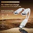 USB C 2 In 1 Aux And 100W Charger