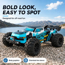 Znlyrion 4WD Off Road Rc Car Buggy