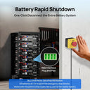 Ecoworthy Battery