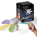 Efficient Ceiling Fan Light for Offices