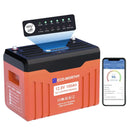 Eco Worthy 12V 100Ah LiFePO4 Battery For RV