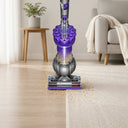 Dyson Ball Animal Origin Upright