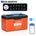Eco Worthy 12V 100Ah LiFePO4 Battery For RV