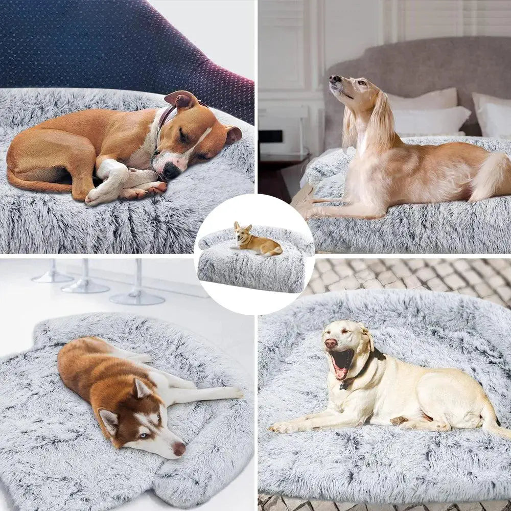 Removable Plush Pet Bed Sofa for Large Dogs and Cats