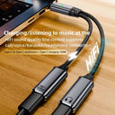 USB C 2 In 1 Aux And 100W Charger