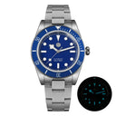 Stainless Steel Diver Wristwatch