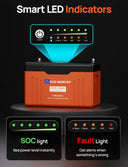 24V 100Ah LiFePO4 Battery SOC Display