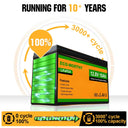 Heavy Duty 10Ah LiFePo4 Battery