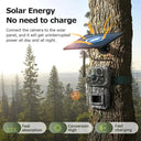 Solar Trail Camera For Hunters And Researchers Pro
