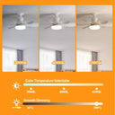 Efficient Ceiling Fan Light for Offices