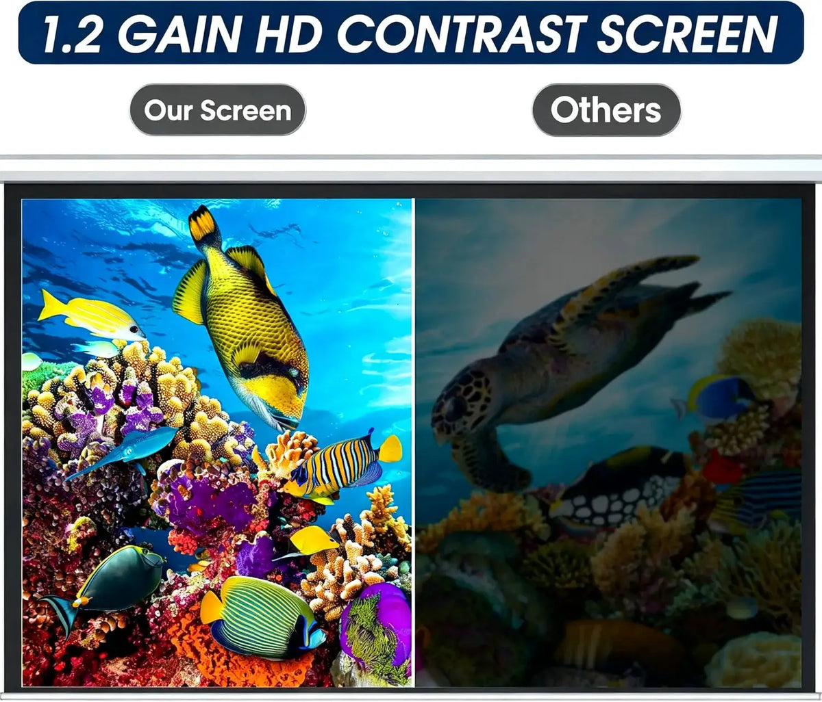 110 Inch Motorized Projector Screen 16:9 Electric Indoor And Outdoor Movies Screen With Remote Control