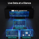 Eco Worthy ESM100 Battery Monitor