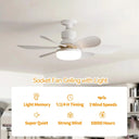 Efficient Ceiling Fan Light for Offices