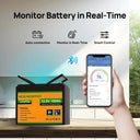 LiFePo4 12V 100Ah Bluetooth Battery