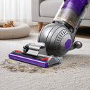 Dyson Ball Animal Origin Upright