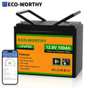 Eco Worthy 12V 100Ah LiFePO4 Battery For RV
