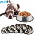 Stainless Steel Dog Bowl Hygienic Feeder for Cats and Dogs