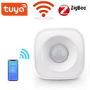 Pet Safe Motion Sensor Alarm for Home