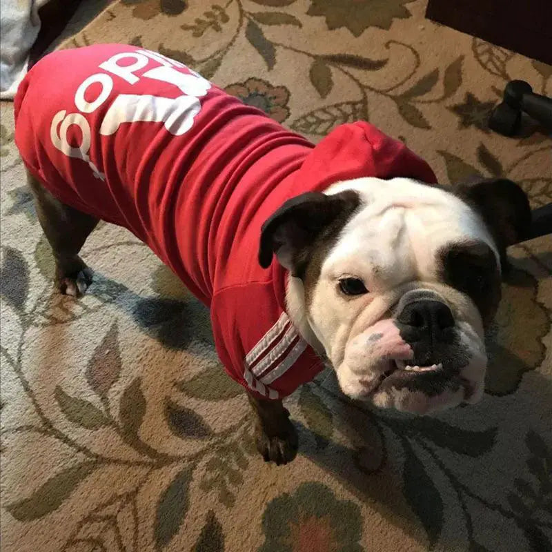 Winter Dog Adidog Sport Hoodies For Stylish Warm Pets