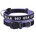 Embroidered Personalized Nylon Dog Collar for All Sizes