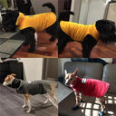 Cozy Warmth Dog Jacket for Night Walks