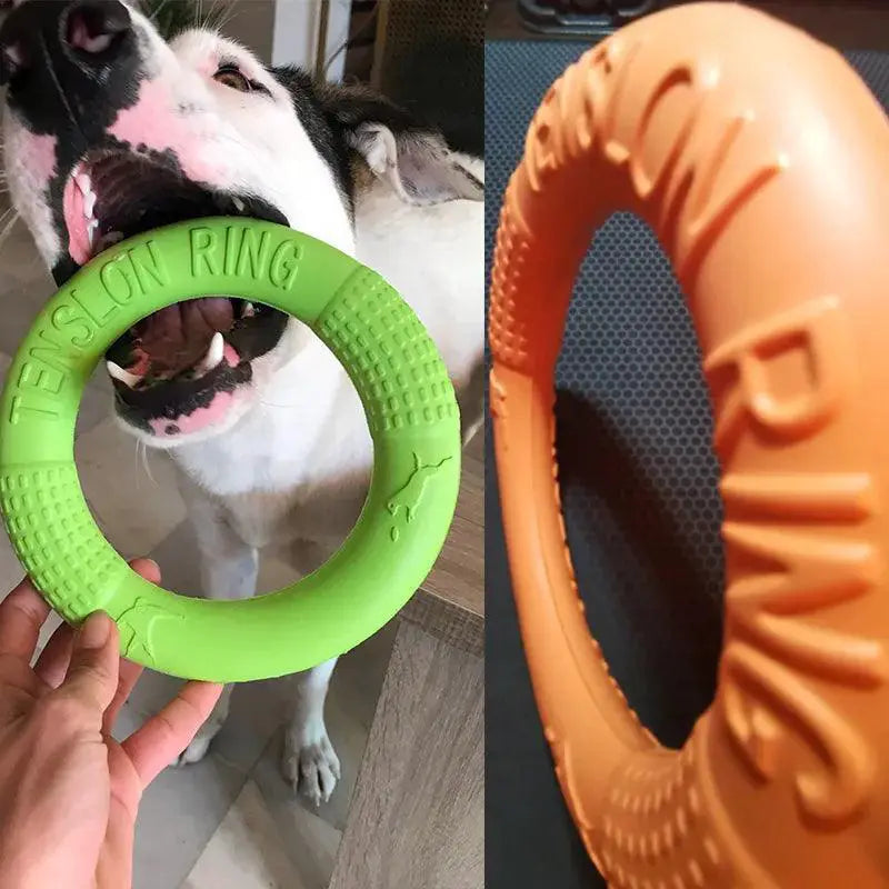Big Dog Interactive Ring Puller Flying Disc Toy Active Play