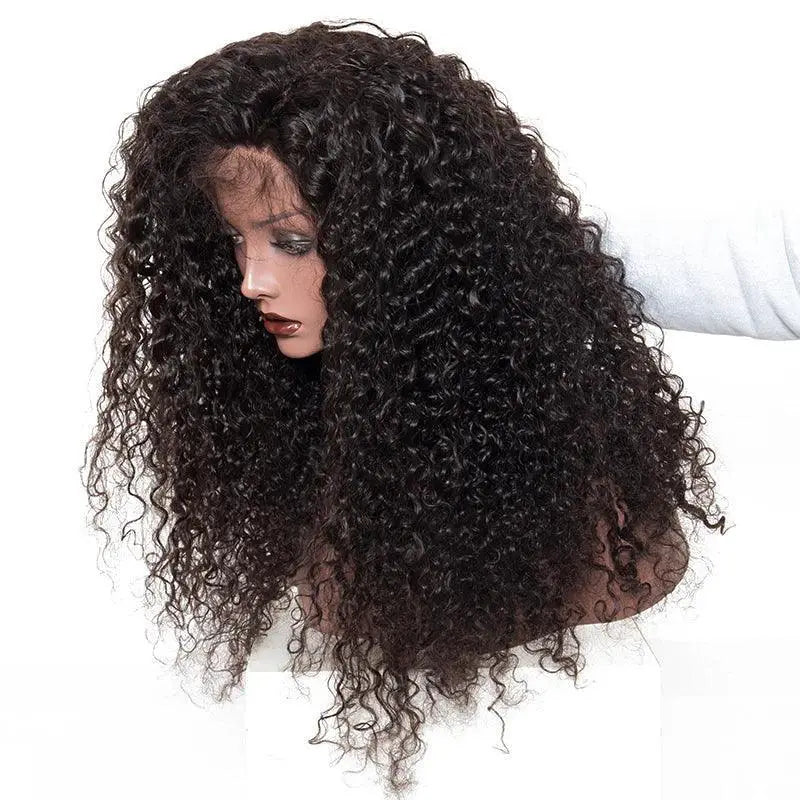 Luxurious Deep Wave Curly Lace Front Wig Remy Hair