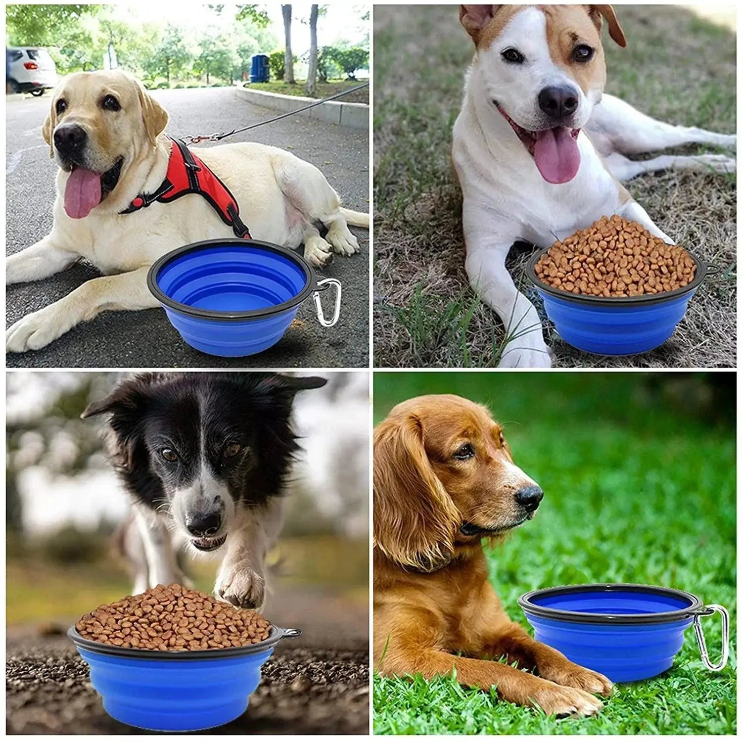 Foldable Silicone Pet Bowl Travel Friendly Portable Feeder