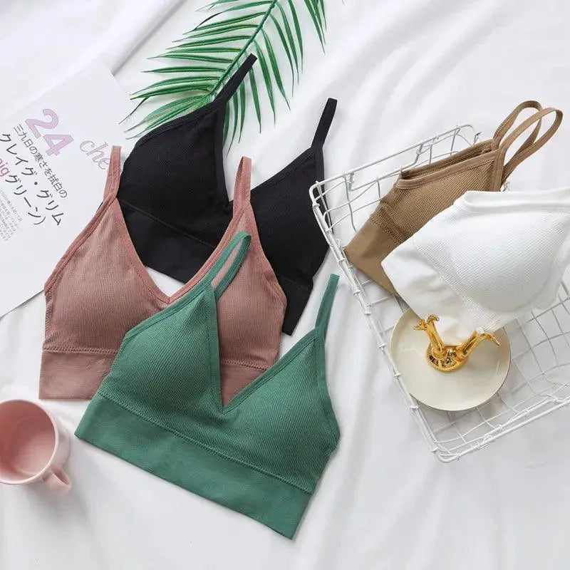 Sleek Seamless V Neck Crop Top Breathable Fitness Outfit