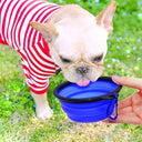 Foldable Silicone Pet Bowl Travel Friendly Portable Feeding Solution