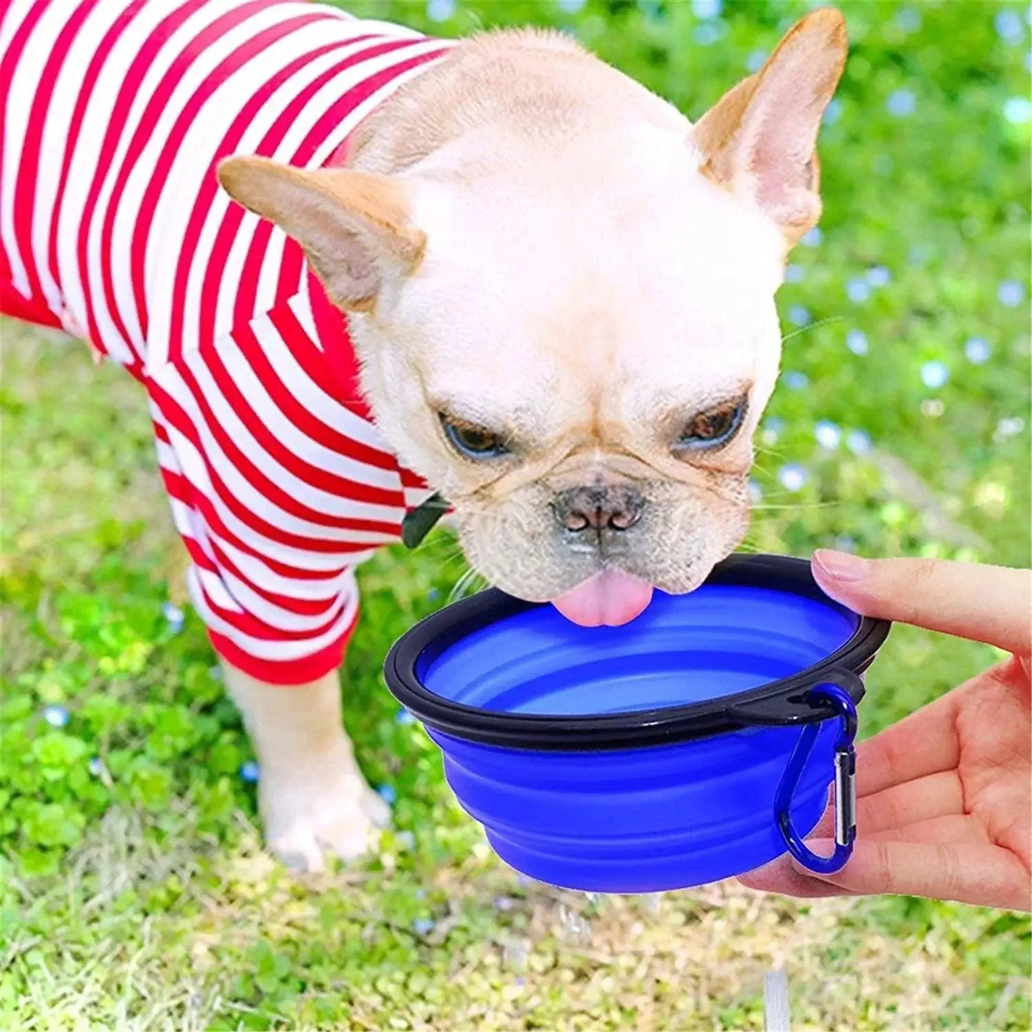 Foldable Silicone Pet Bowl Travel Friendly Portable Feeder
