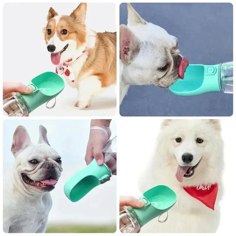 Portable Pet Water Bottle For Outdoor Dog Walking Travel