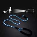 Safe Walking Leash for Golden Retrievers