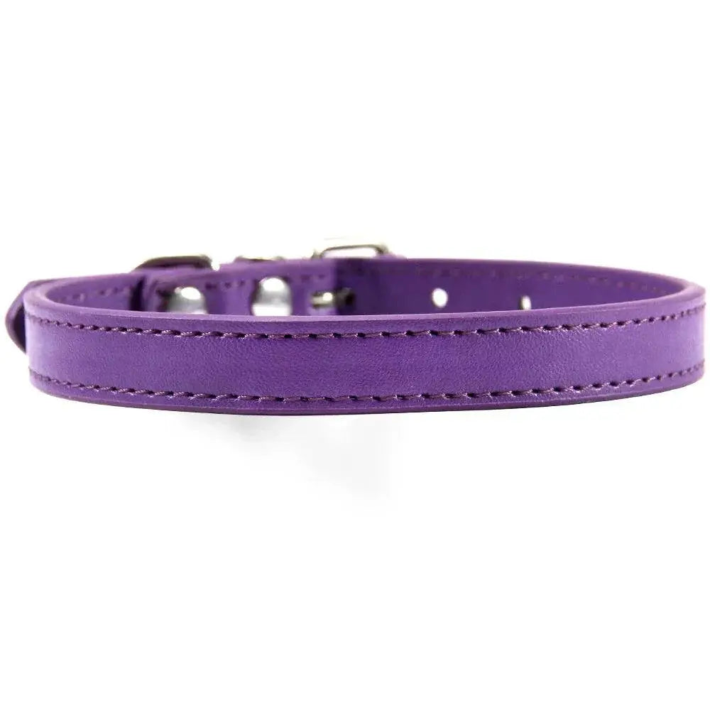 Padded Quick-Release Pet Collar for Dogs — product view 11