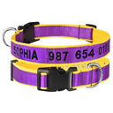 Embroidered Personalized Nylon Dog Collar for All Sizes