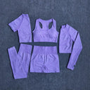 Seamless Yoga Set Women Leggings Crop Top