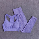 Seamless Yoga Set Women Leggings Crop Top
