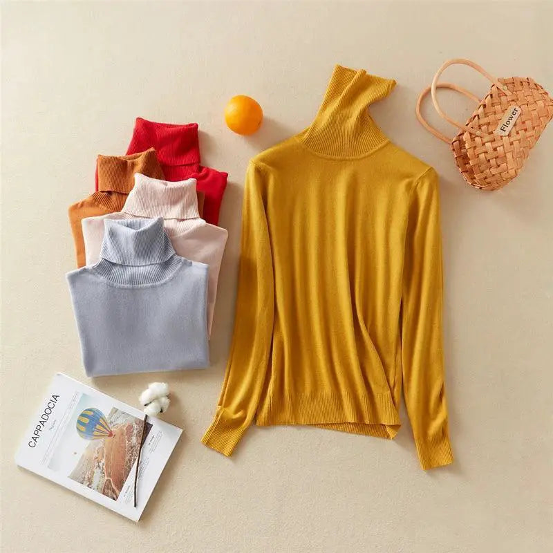 Marwin And Friend Knit Turtleneck Winter Sweater For Women