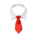 Pet Bow Tie Collar for Stylish Occasions