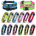 Embroidered Personalized Nylon Dog Collar for All Sizes